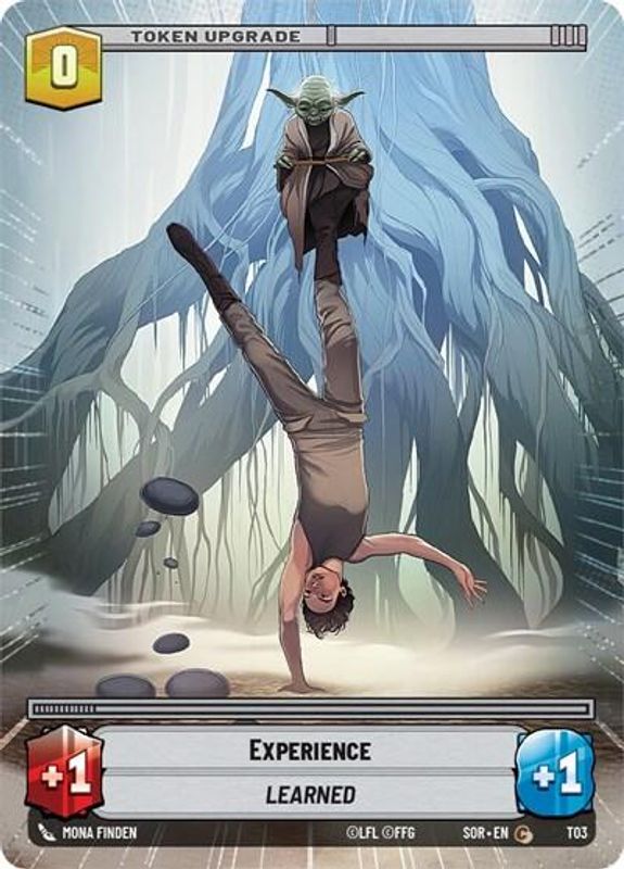 Experience // Shield (Hyperspace) - T03 // T04 - Common