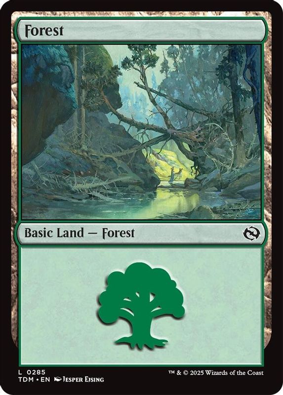 Forest (0285) - 285 - Land